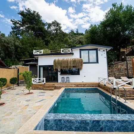 빌라 Gorgeous Villa With Private Pool And Terrace Surrounded By Nature In Fethiye 페티예